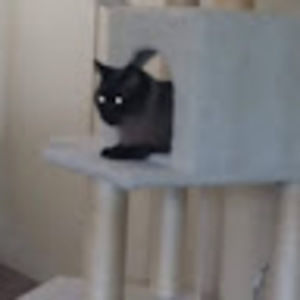 Meet your Posher, Katherine